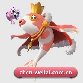 国际化进程 | WL SPORTS