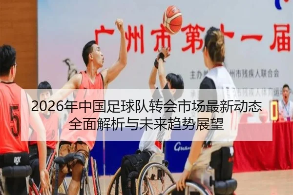 2026年中国足球队转会市场最新动态全面解析与未来趋势展望