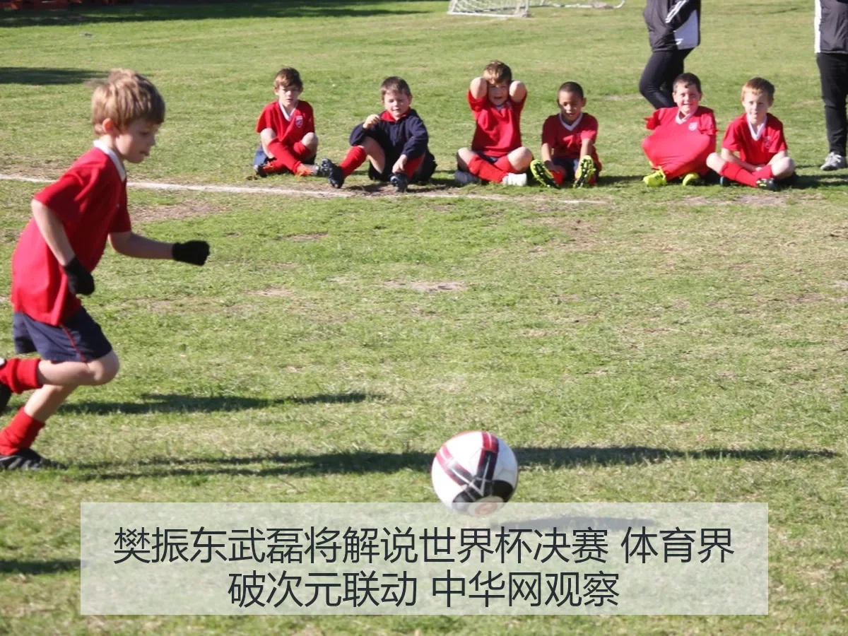 樊振东武磊将解说世界杯决赛 体育界破次元联动 观察